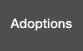 Adoptions Assistance
