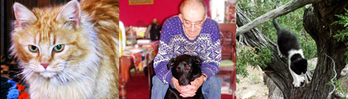 PAWS Photos